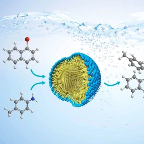 Paracetamol powder-use | Shaanxi BLOOM Tech Co., Ltd Paracetamol powder-use | Shaanxi BLOOM Tech Co., Ltd
