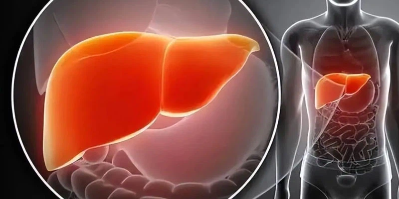 Bioglutide NA-931 Price | Shaanxi BLOOM Tech Co., Ltd Bioglutide NA-931 Price | Shaanxi BLOOM Tech Co., Ltd