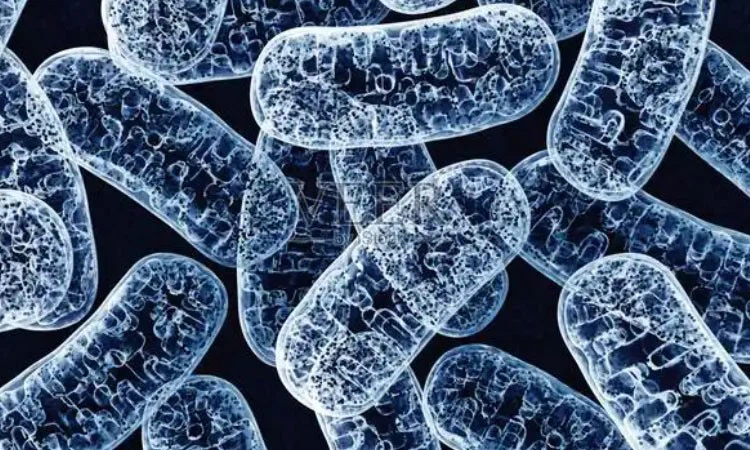 Bioglutide NA-931 Cost | Shaanxi BLOOM Tech Co., Ltd Bioglutide NA-931 Cost | Shaanxi BLOOM Tech Co., Ltd