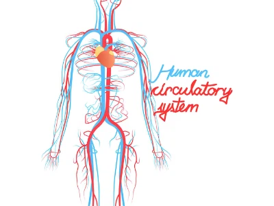 Kisspeptin 10 powder | Shaanxi BLOOM Tech Co., Ltd Kisspeptin 10 powder | Shaanxi BLOOM Tech Co., Ltd
